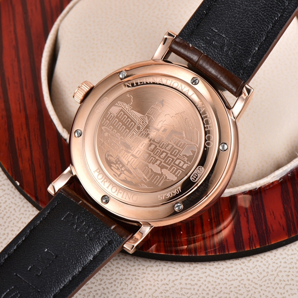 アイ・ダブリュー・シー着用イメージ